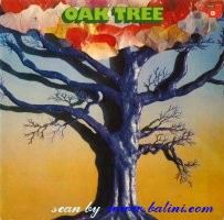 Oak Tree, Studiker, Basf, 20 21097-9