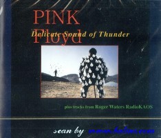 Pink Floyd, Delicate Sound of Thunder, , 4-49019