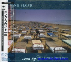 Pink Floyd, A Momentary Lapse of Reason, Sony, SRCS 8489