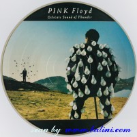 Pink Floyd, Delicate Sound of Thunder, Columbia, 928.010