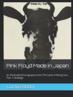 Lucilio Batini, Pink Floyd Made in Japan, Part 1: Analogic, Amazon, BLBook1