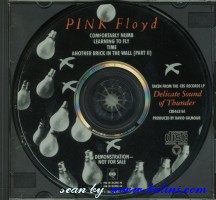 Pink Floyd, Comfortably Numb, , CBS463161