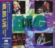 Mr.Big, Live, Atlantic, AMCY-159