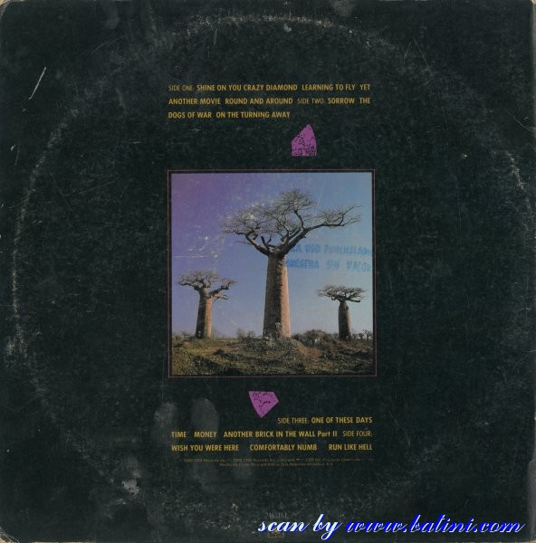 1988 Pink Floyd Delicate Sound Of Thunder