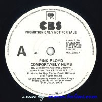 Pink Floyd, Comfortably Numb, Hey You, CBS, BA 222707