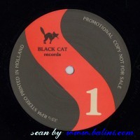 , BlackCat005