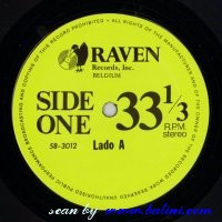 , RAVEN 8202