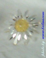 The Daisy, Swarovski, 1999-2001